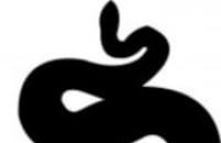 Змея по восточному гороскопу — характеристика знака